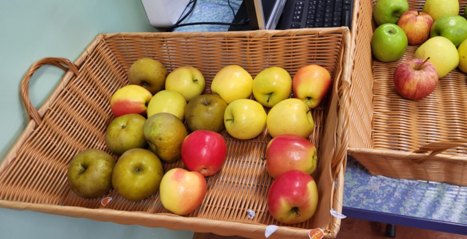 pommes.png